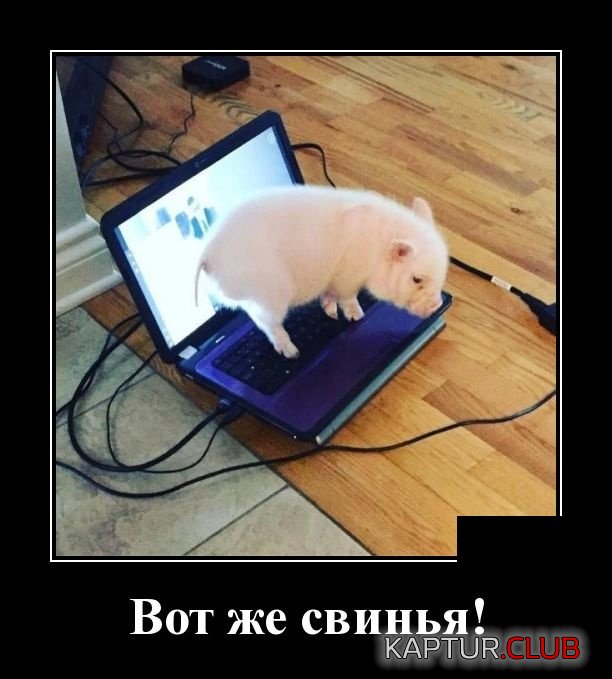 demotivatory_21.jpg | Рено Каптур Клуб Россия | Форум KAPTUR.SU