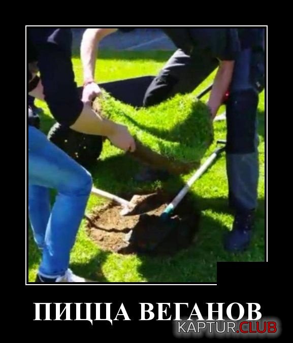 demotivatory_21.jpg | Рено Каптур Клуб Россия | Форум KAPTUR.SU