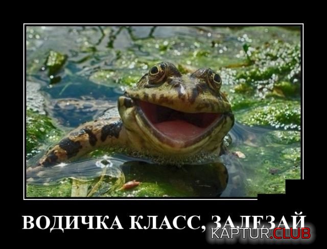 demotivatory_22.jpg | Рено Каптур Клуб Россия | Форум KAPTUR.SU