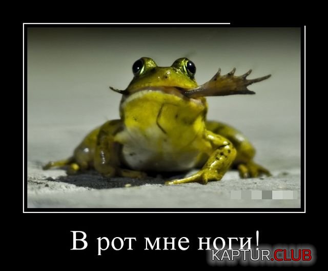 demotivatory_22.jpg | Рено Каптур Клуб Россия | Форум KAPTUR.SU