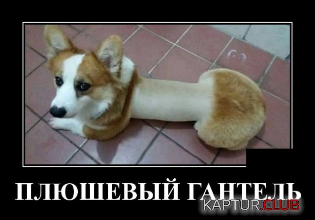demotivatory_22.jpg | Рено Каптур Клуб Россия | Форум KAPTUR.SU