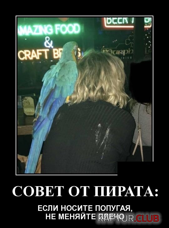 demotivatory_22.jpg | Рено Каптур Клуб Россия | Форум KAPTUR.SU