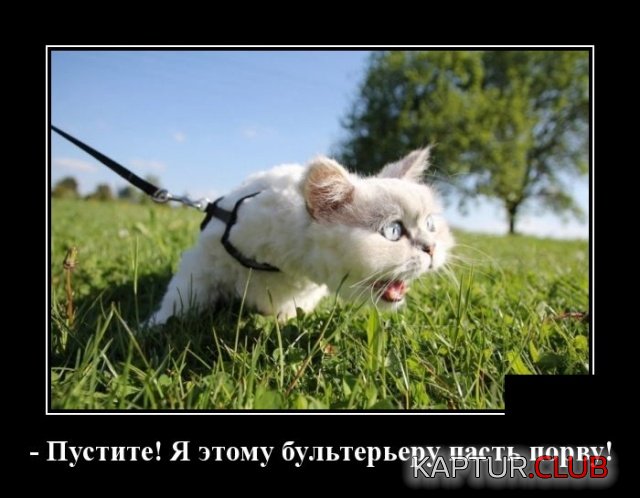 demotivatory_22.jpg | Рено Каптур Клуб Россия | Форум KAPTUR.SU