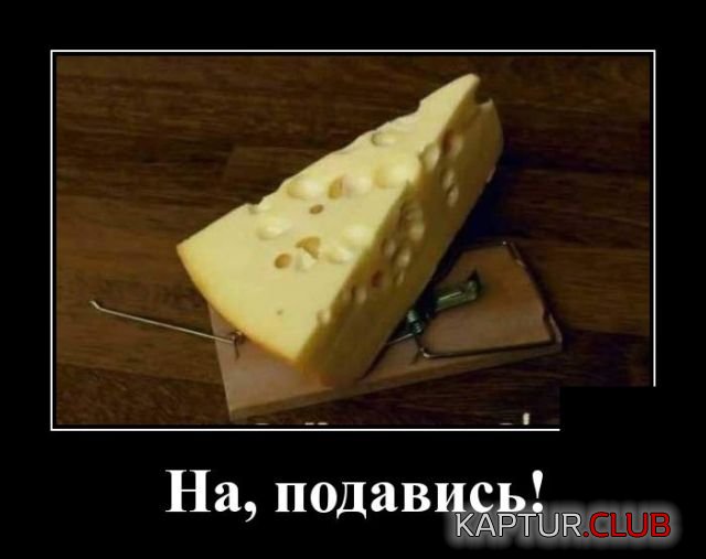 demotivatory_23.jpg | Рено Каптур Клуб Россия | Форум KAPTUR.SU