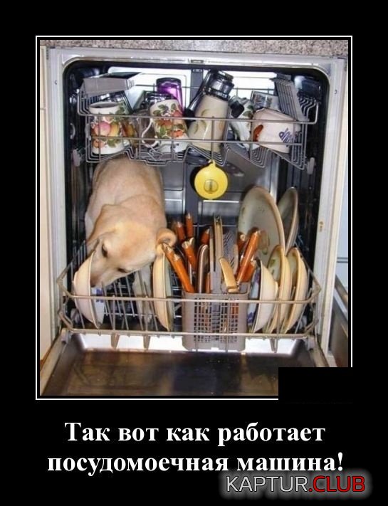 demotivatory_23.jpg | Рено Каптур Клуб Россия | Форум KAPTUR.SU
