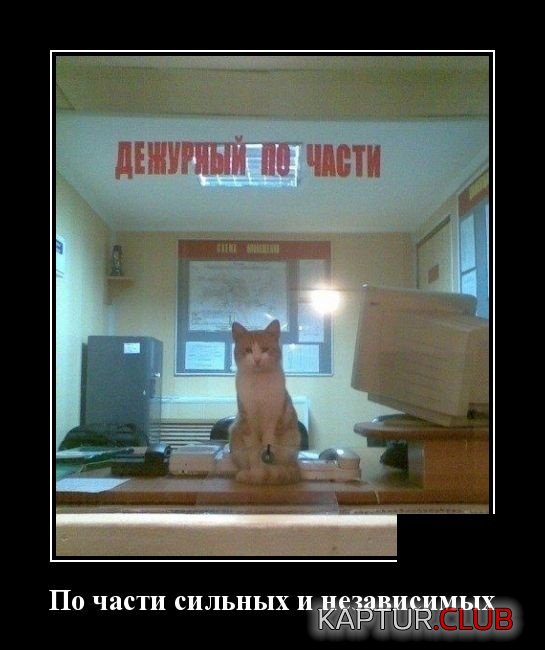 demotivatory_23.jpg | Рено Каптур Клуб Россия | Форум KAPTUR.SU