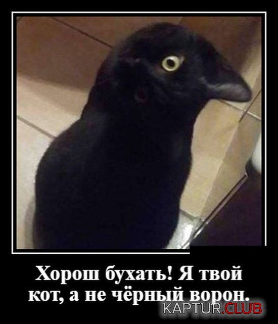 demotivatory_23.jpg | Рено Каптур Клуб Россия | Форум KAPTUR.SU
