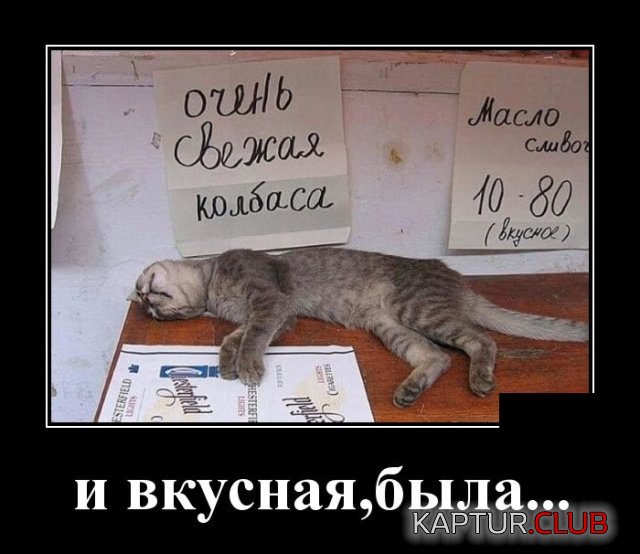 demotivatory_23.jpg | Рено Каптур Клуб Россия | Форум KAPTUR.SU