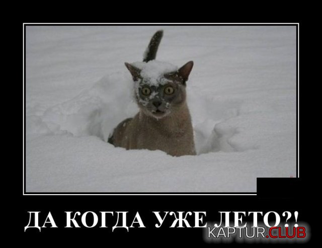 demotivatory_23.jpg | Рено Каптур Клуб Россия | Форум KAPTUR.SU