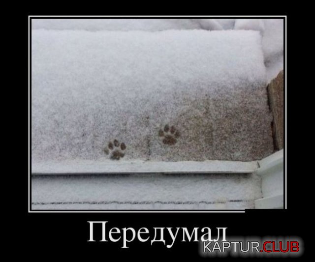 demotivatory_23.jpg | Рено Каптур Клуб Россия | Форум KAPTUR.SU