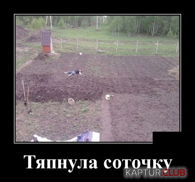 demotivatory_23.jpg | Рено Каптур Клуб Россия | Форум KAPTUR.SU