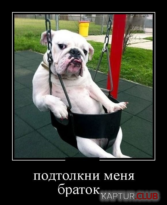 demotivatory_24.jpg | Рено Каптур Клуб Россия | Форум KAPTUR.SU
