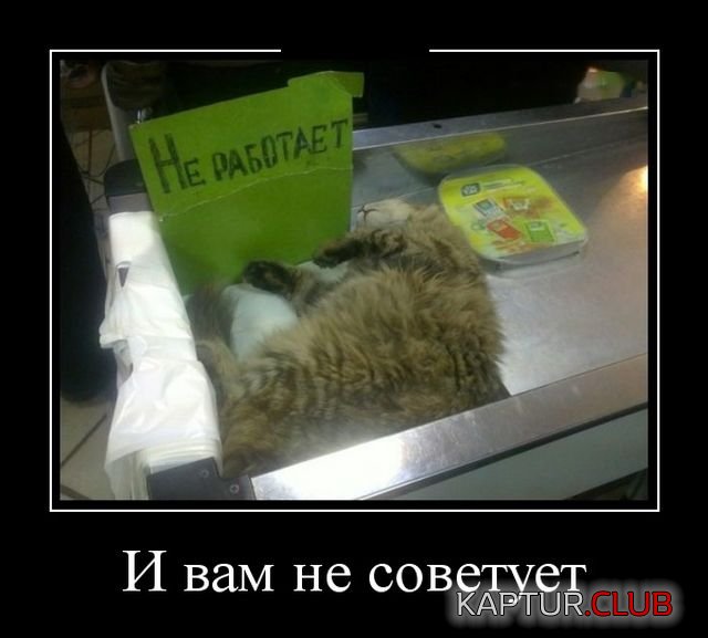 demotivatory_24.jpg | Рено Каптур Клуб Россия | Форум KAPTUR.SU