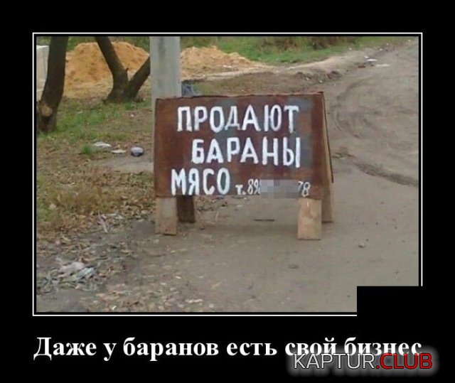 demotivatory_24.jpg | Рено Каптур Клуб Россия | Форум KAPTUR.SU