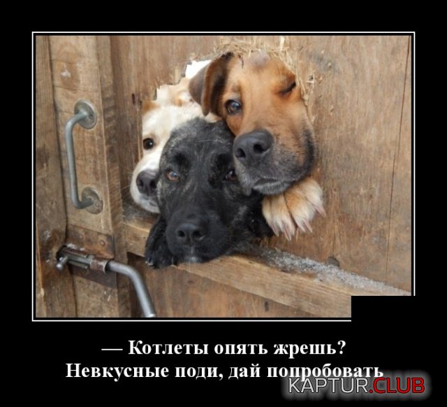 demotivatory_24.jpg | Рено Каптур Клуб Россия | Форум KAPTUR.SU