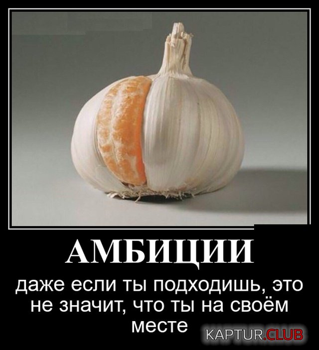 demotivatory_24.jpg | Рено Каптур Клуб Россия | Форум KAPTUR.SU