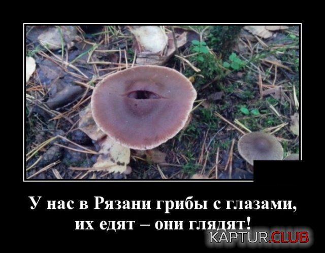 demotivatory_24.jpg | Рено Каптур Клуб Россия | Форум KAPTUR.SU