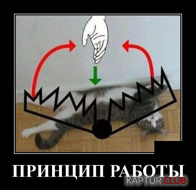 demotivatory_24.jpg | Рено Каптур Клуб Россия | Форум KAPTUR.SU