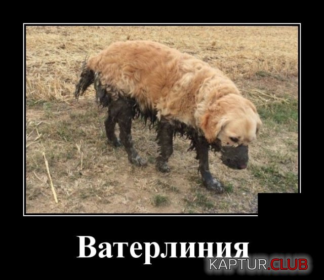 demotivatory_24.jpg | Рено Каптур Клуб Россия | Форум KAPTUR.SU
