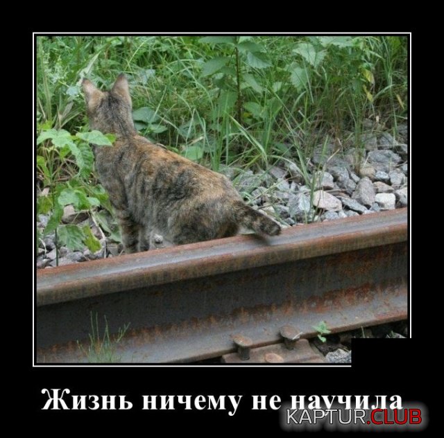 demotivatory_24.jpg | Рено Каптур Клуб Россия | Форум KAPTUR.SU