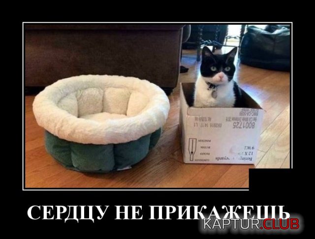 demotivatory_24.jpg | Рено Каптур Клуб Россия | Форум KAPTUR.SU