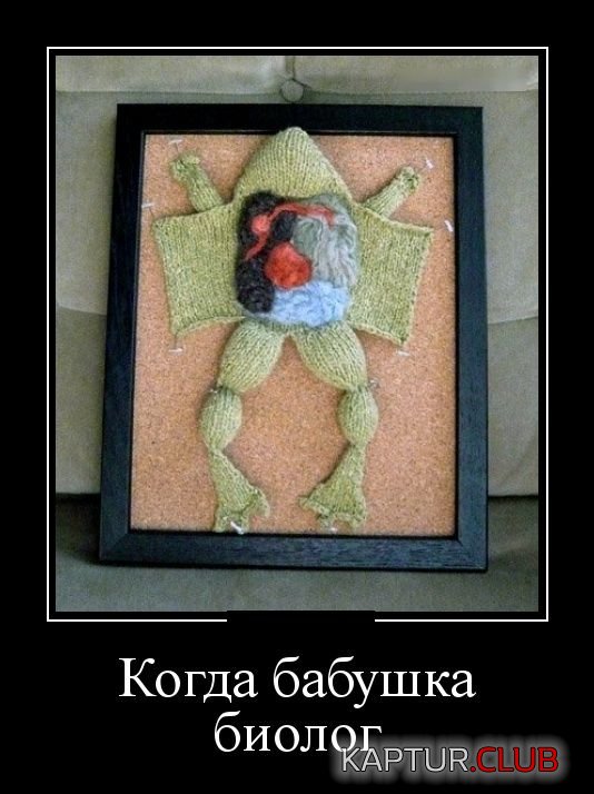 demotivatory_25.jpg | Рено Каптур Клуб Россия | Форум KAPTUR.SU