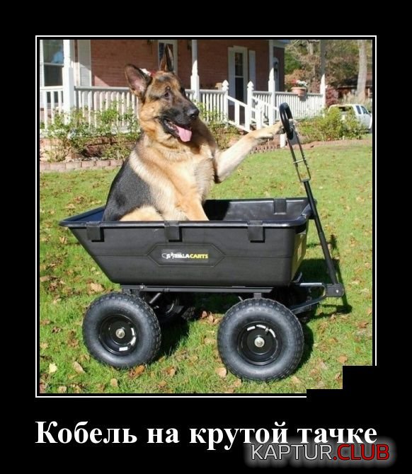 demotivatory_25.jpg | Рено Каптур Клуб Россия | Форум KAPTUR.SU