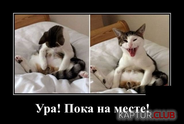 demotivatory_25.jpg | Рено Каптур Клуб Россия | Форум KAPTUR.SU