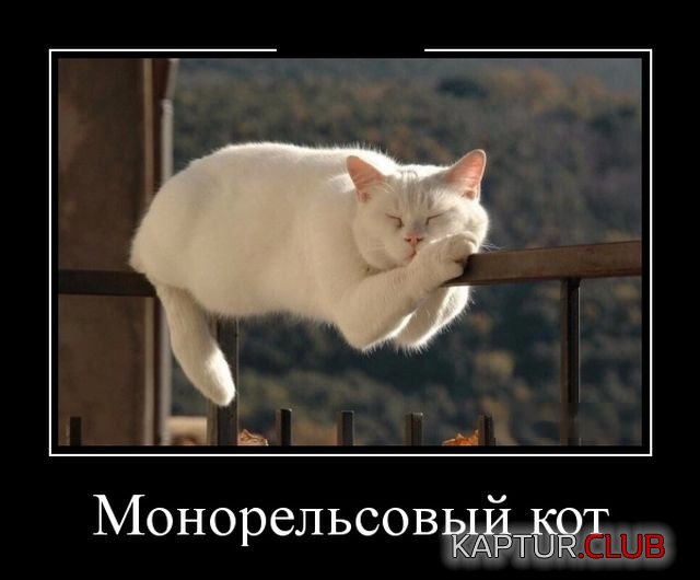 demotivatory_25.jpg | Рено Каптур Клуб Россия | Форум KAPTUR.SU