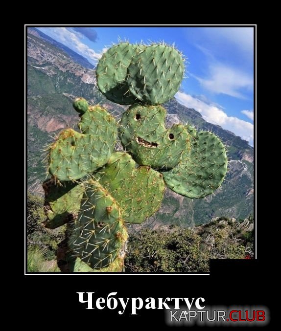 demotivatory_25.jpg | Рено Каптур Клуб Россия | Форум KAPTUR.SU