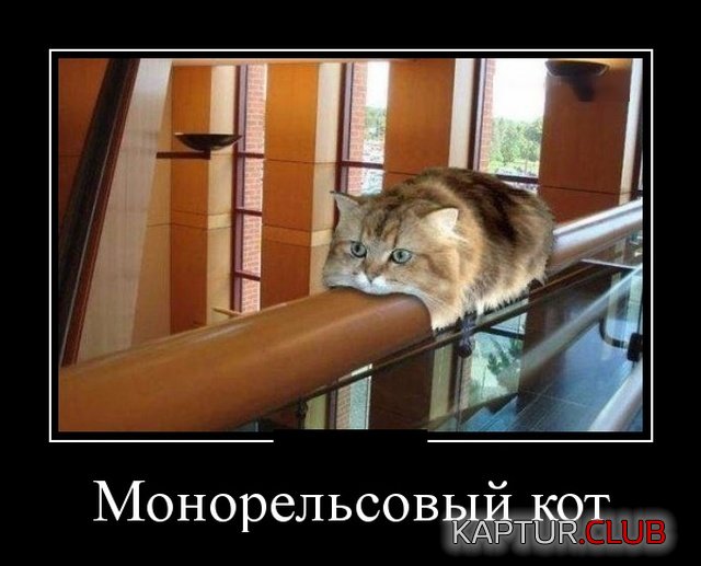demotivatory_25.jpg | Рено Каптур Клуб Россия | Форум KAPTUR.SU