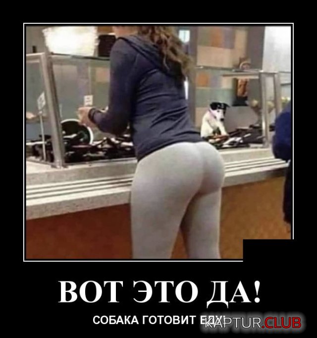 demotivatory_25.jpg | Рено Каптур Клуб Россия | Форум KAPTUR.SU