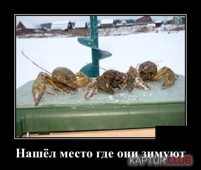 demotivatory_25.jpg | Рено Каптур Клуб Россия | Форум KAPTUR.SU