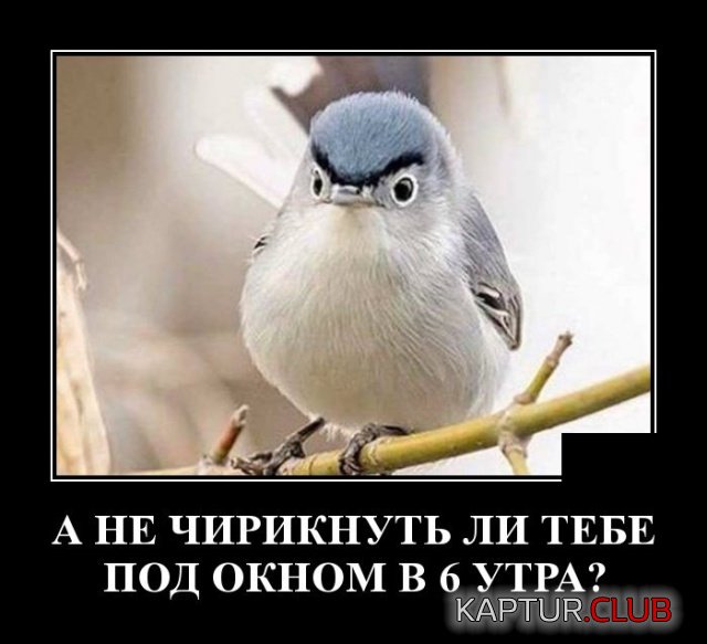 demotivatory_25.jpg | Рено Каптур Клуб Россия | Форум KAPTUR.SU