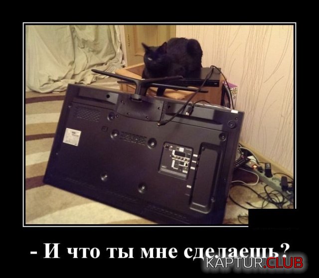 demotivatory_25.jpg | Рено Каптур Клуб Россия | Форум KAPTUR.SU