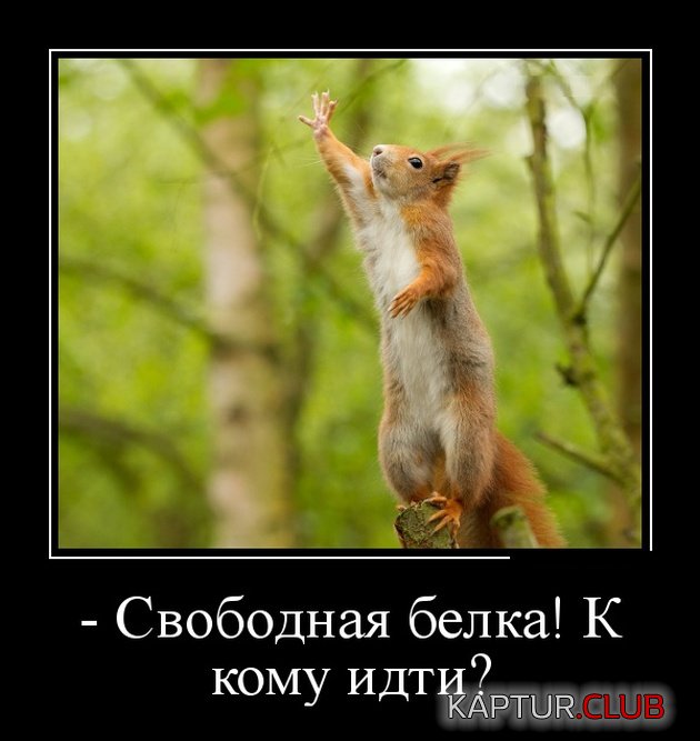demotivatory_26.jpg | Рено Каптур Клуб Россия | Форум KAPTUR.SU