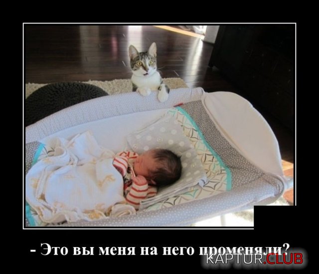 demotivatory_26.jpg | Рено Каптур Клуб Россия | Форум KAPTUR.SU