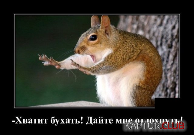 demotivatory_26.jpg | Рено Каптур Клуб Россия | Форум KAPTUR.SU