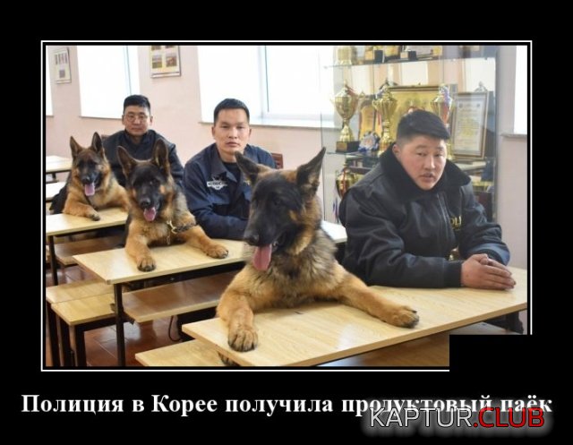 demotivatory_26.jpg | Рено Каптур Клуб Россия | Форум KAPTUR.SU