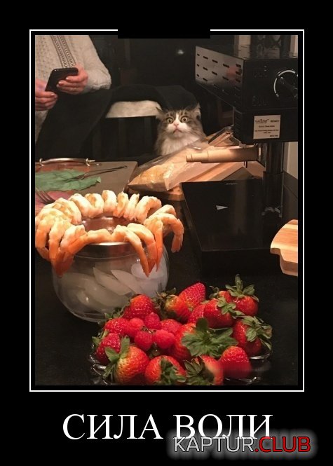 demotivatory_26.jpg | Рено Каптур Клуб Россия | Форум KAPTUR.SU