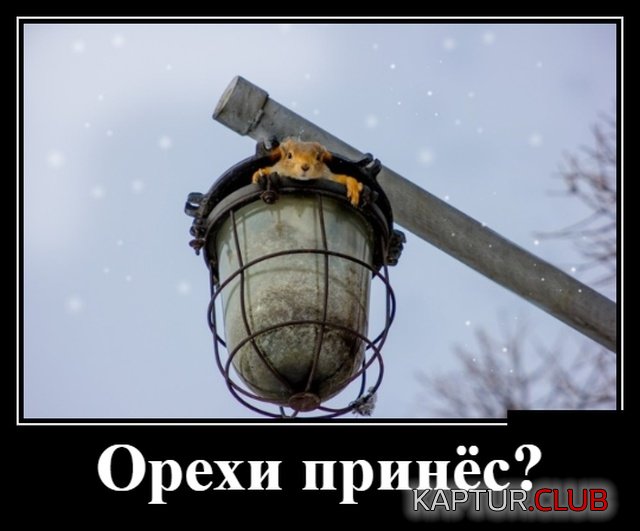 demotivatory_26.jpg | Рено Каптур Клуб Россия | Форум KAPTUR.SU