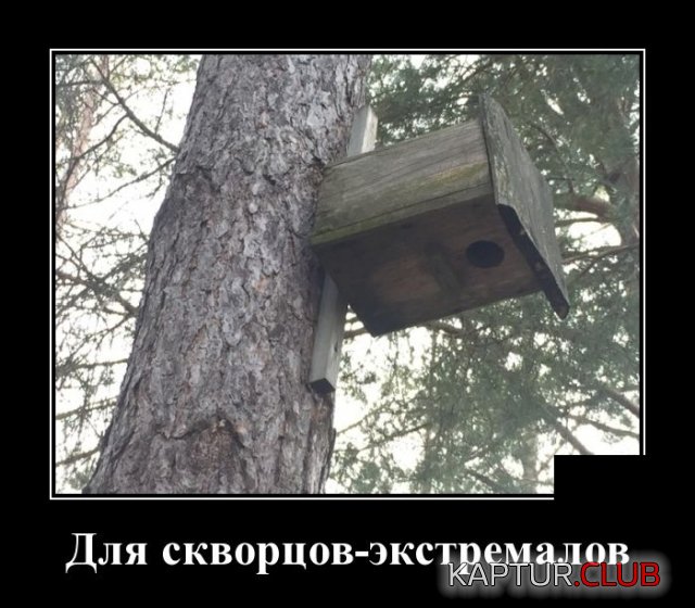 demotivatory_26.jpg | Рено Каптур Клуб Россия | Форум KAPTUR.SU