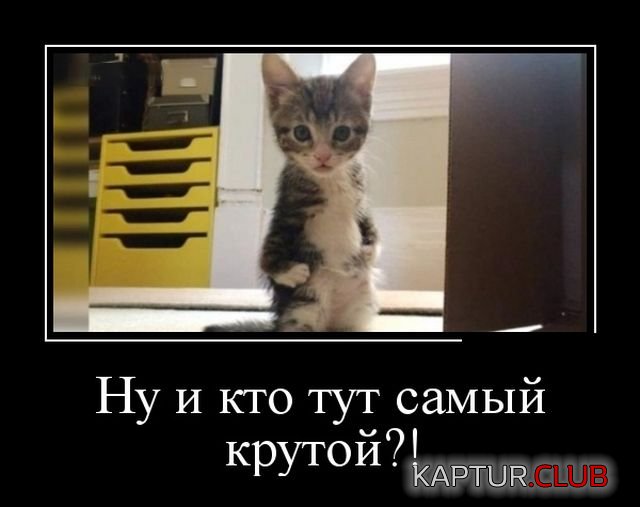 demotivatory_27.jpg | Рено Каптур Клуб Россия | Форум KAPTUR.SU
