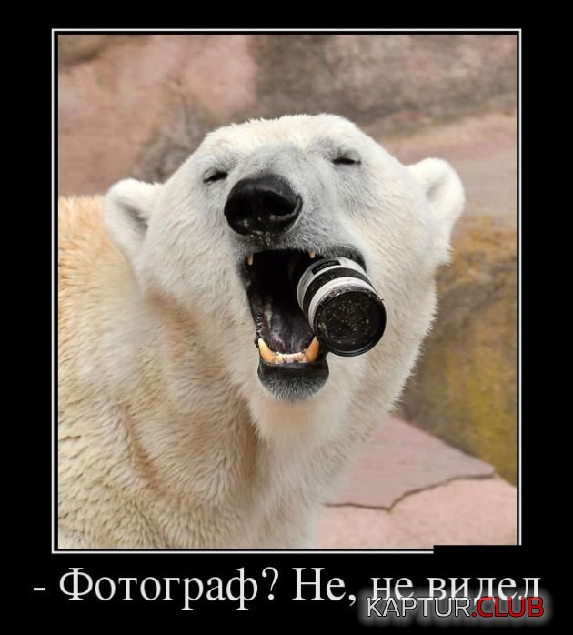 demotivatory_27.jpg | Рено Каптур Клуб Россия | Форум KAPTUR.SU
