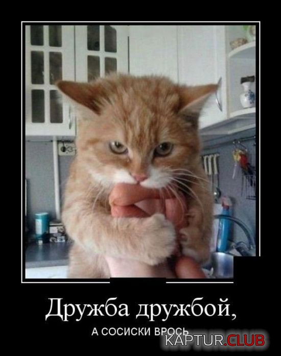 demotivatory_27.jpg | Рено Каптур Клуб Россия | Форум KAPTUR.SU