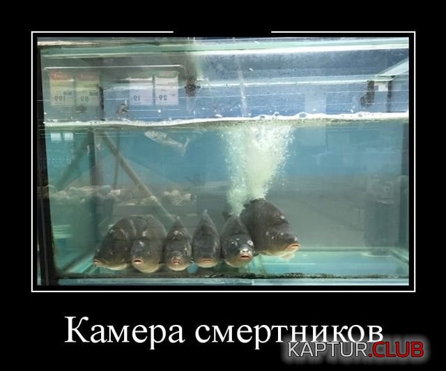 demotivatory_27.jpg | Рено Каптур Клуб Россия | Форум KAPTUR.SU