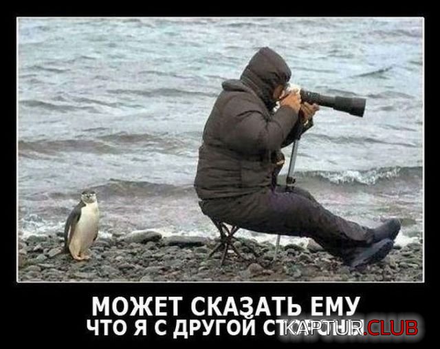 demotivatory_27.jpg | Рено Каптур Клуб Россия | Форум KAPTUR.SU