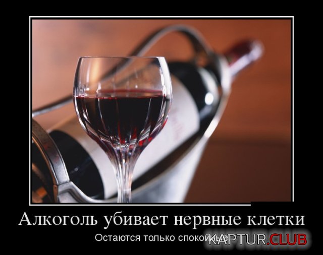 demotivatory_27.jpg | Рено Каптур Клуб Россия | Форум KAPTUR.SU