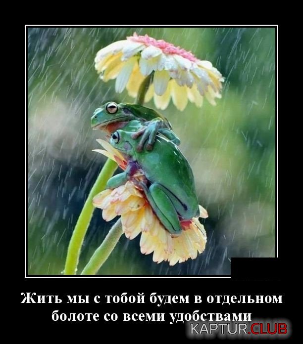 demotivatory_27.jpg | Рено Каптур Клуб Россия | Форум KAPTUR.SU