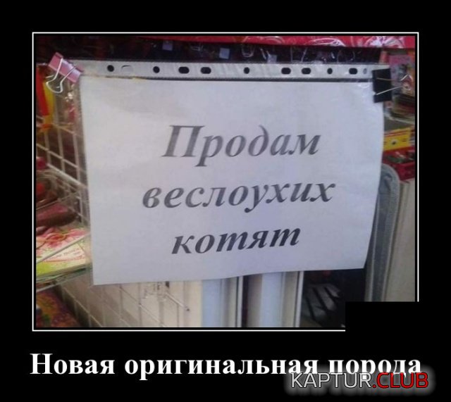 demotivatory_27.jpg | Рено Каптур Клуб Россия | Форум KAPTUR.SU